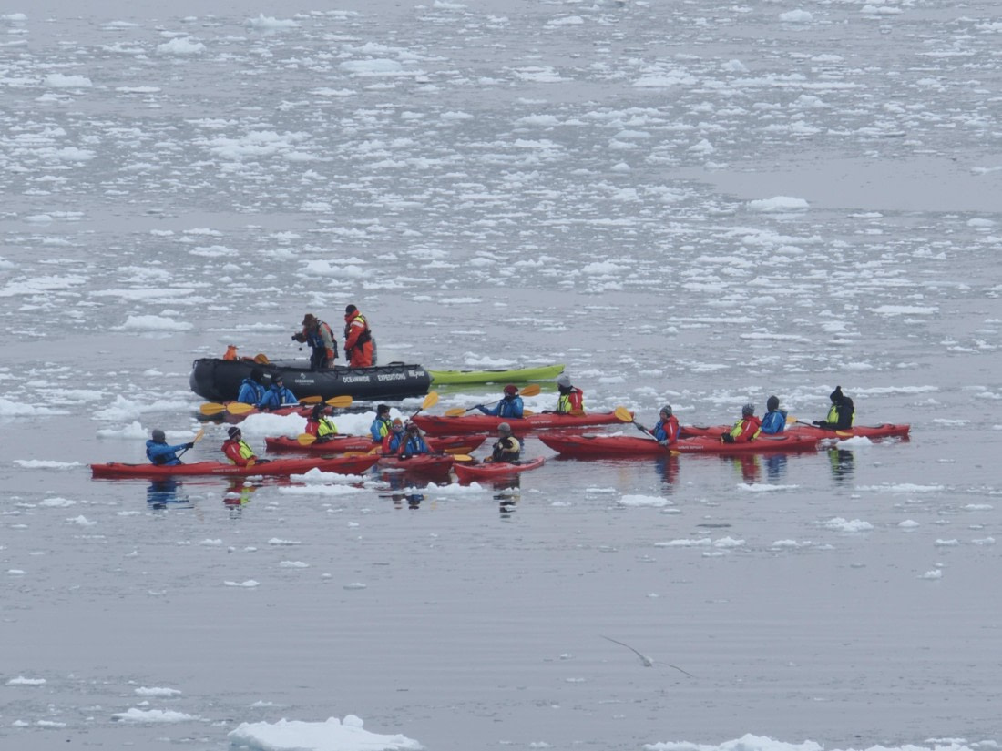 HDS23-24, Day 5, APMG0004 © Andy Perkins - Oceanwide Expeditions.JPG