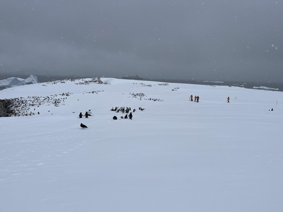 HDS23-24, Day 6, IMG_7265 © Unknown photographer - Oceanwide Expeditions.jpg