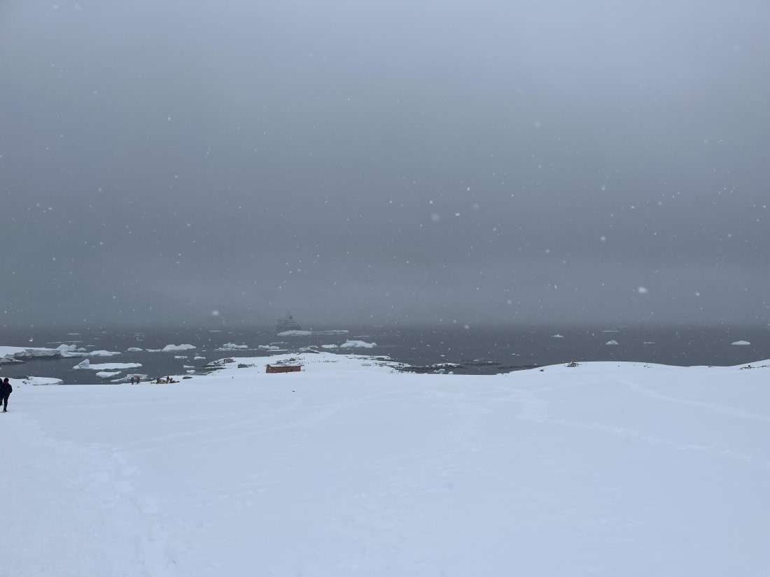 HDS23-24, Day 6, IMG_7907 © Unknown photographer - Oceanwide Expeditions.JPG