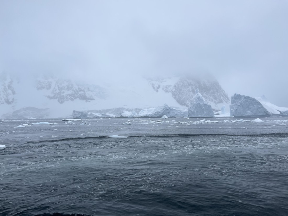 HDS23-24, Day 6, IMG_7923 © Unknown photographer - Oceanwide Expeditions.JPG