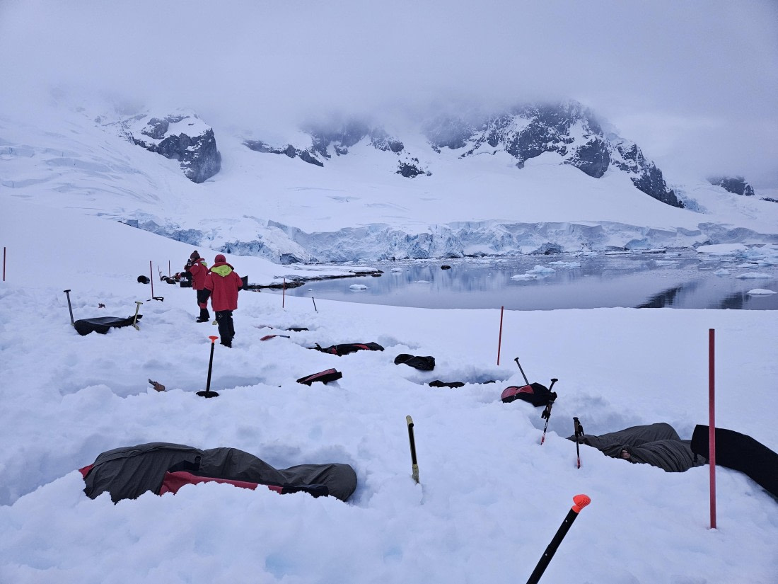 HDS23-24, Day 7, 20241129_233338 © Unknown photographer - Oceanwide Expeditions.jpg