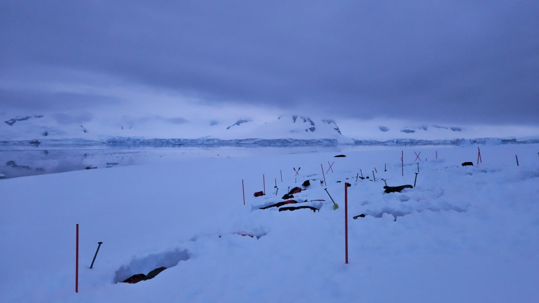 HDS23-24, Day 7, 20241129_235953 © Unknown photographer - Oceanwide Expeditions.jpg