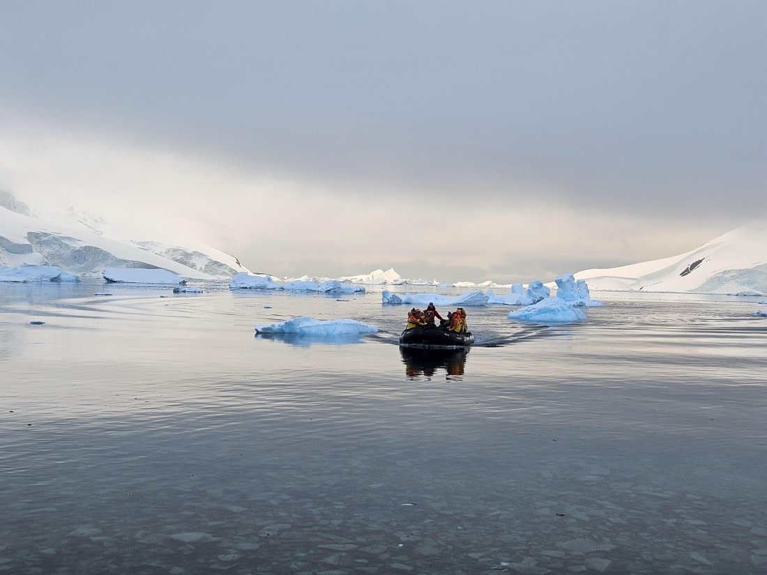 HDS23-24, Day 8, 20241130_211717 © Unknown photographer - Oceanwide Expeditions.jpg