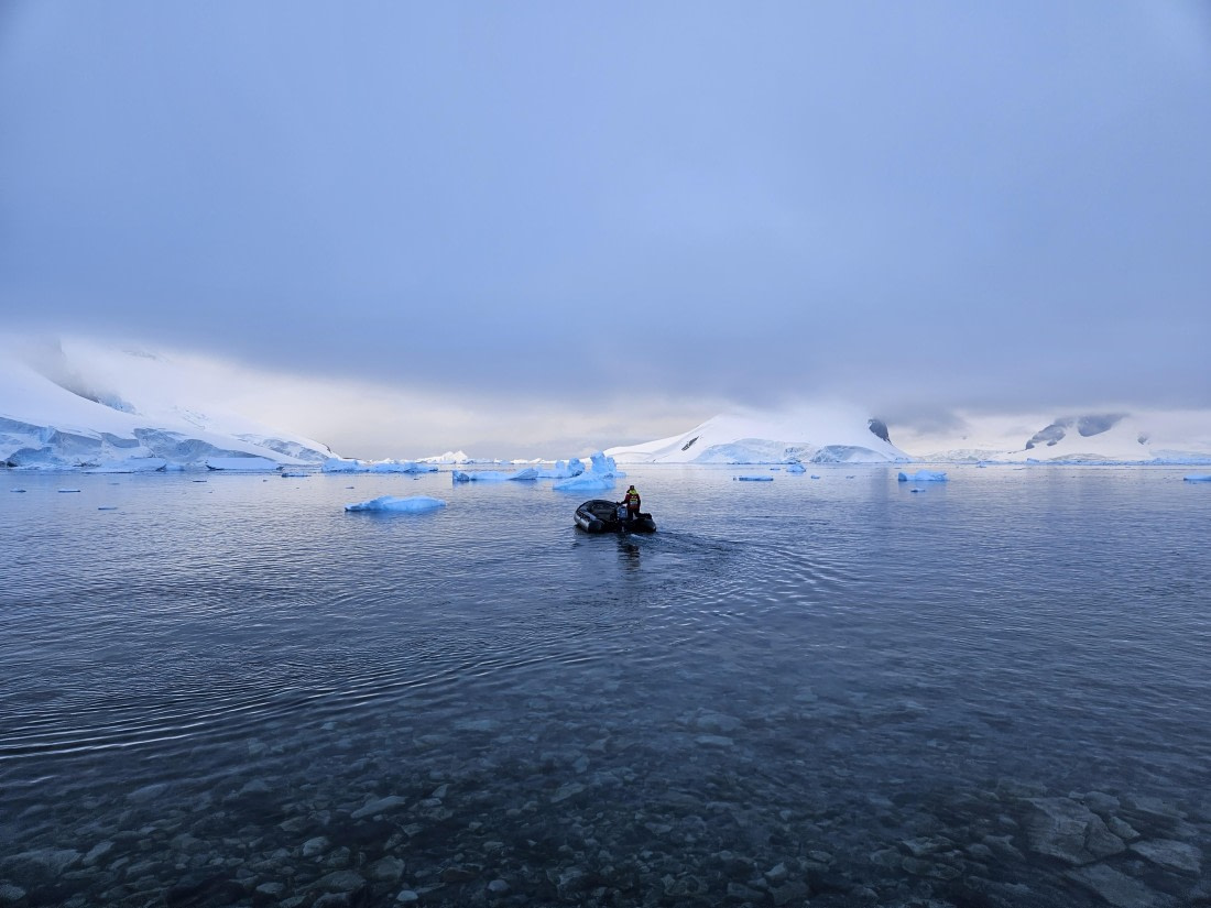 HDS23-24, Day 8, 20241130_212057 © Unknown photographer - Oceanwide Expeditions.jpg