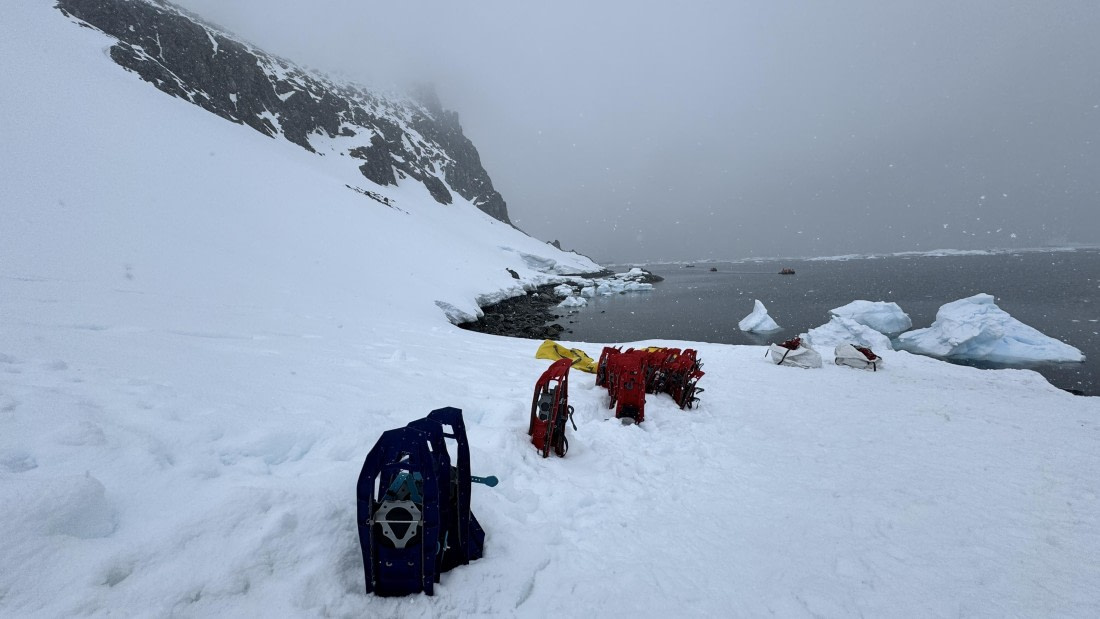 HDS23-24, Day 8, snowshoes-orneharbour © Meike Sjoer - Oceanwide Expeditions.JPG