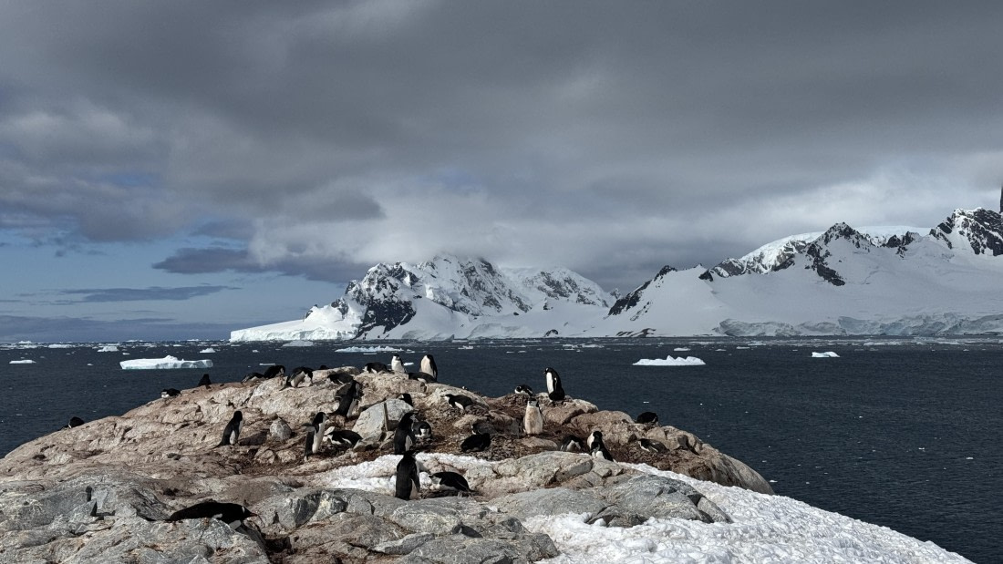 HDS23-24, Day 9, OrneIslands2 © Meike Sjoer - Oceanwide Expeditions.JPG