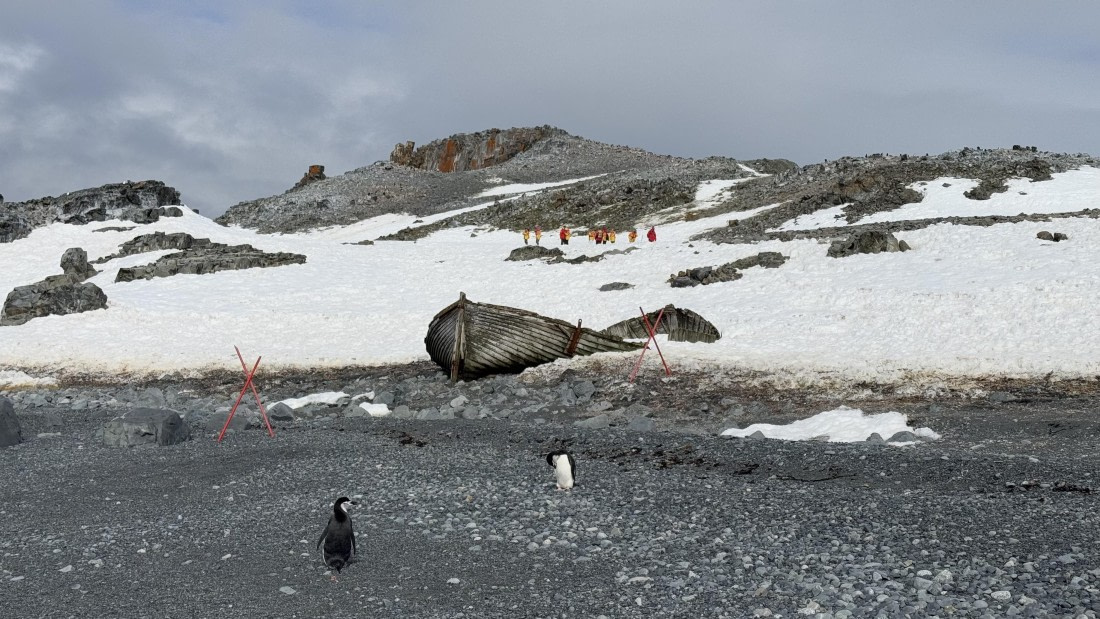 HDS23-24, Day 10, 12-2-Half-Moon-IMG_6402 © Unknown photographer - Oceanwide Expeditions.jpg