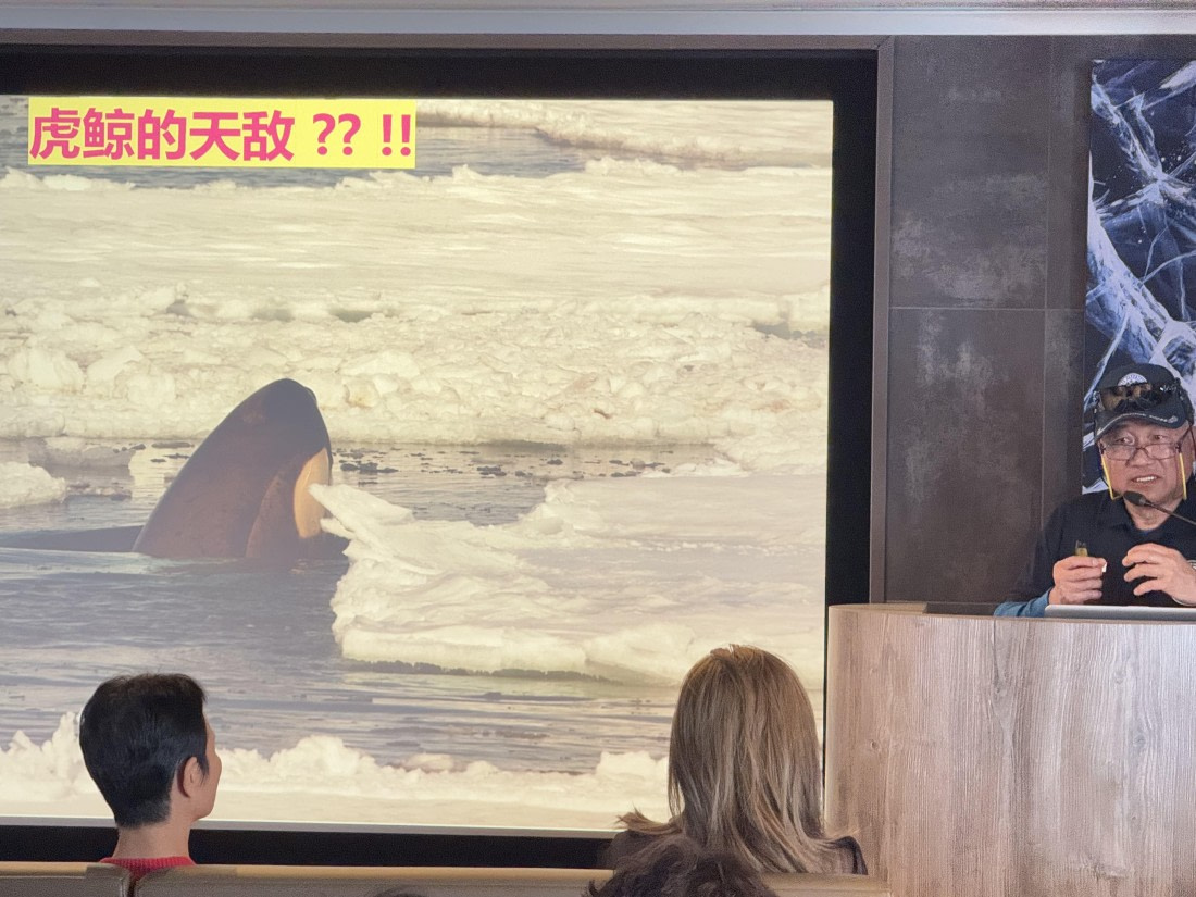 HDS23-24, Day 11, IMG_6725 © Unknown photographer - Oceanwide Expeditions.jpg