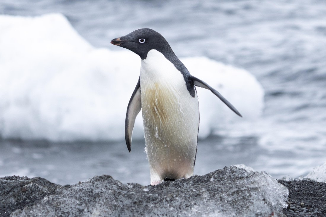 Fresh out of the water