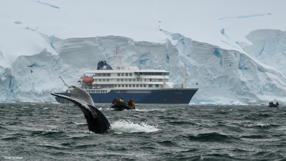 Antarctic encounter