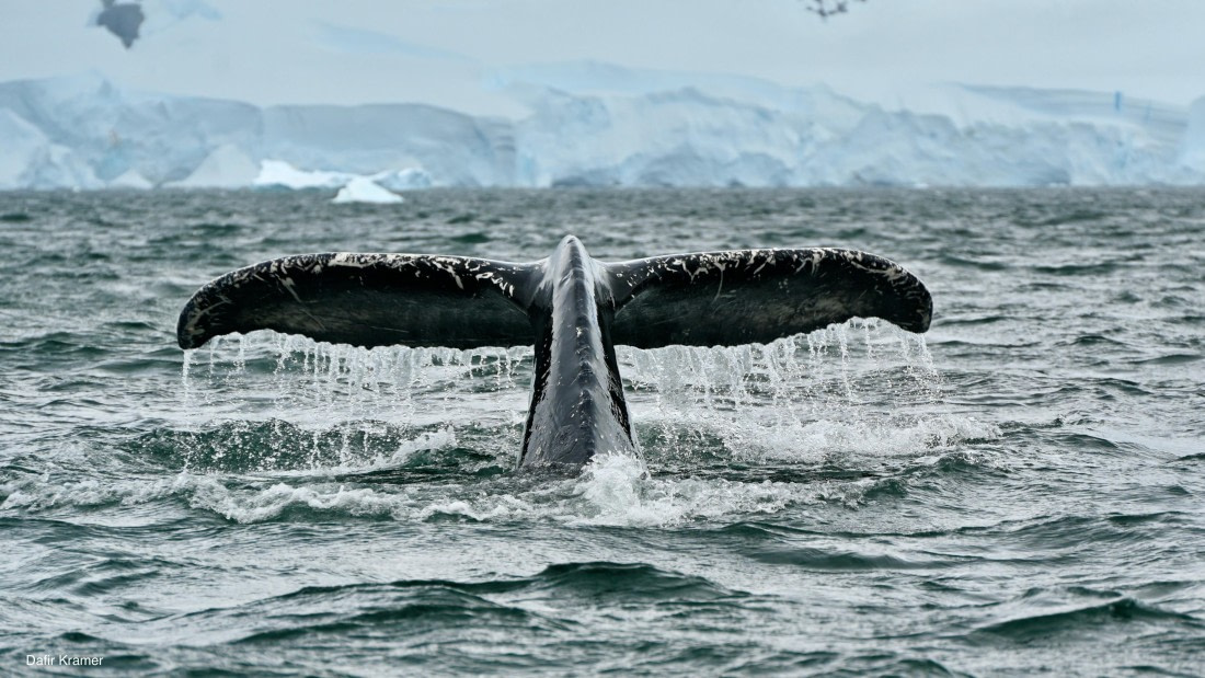 Up close and personal