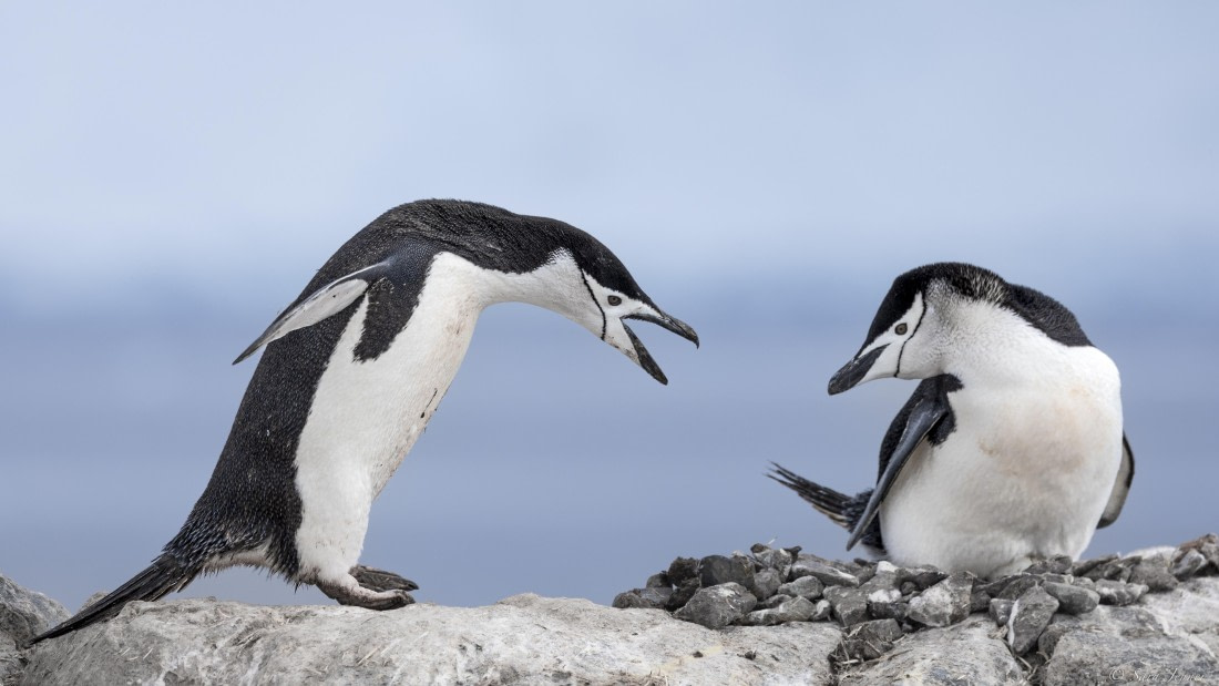 OTL24-24, Day 4, Palaver Point 3 © Sara Jenner - Oceanwide Expeditions.jpg