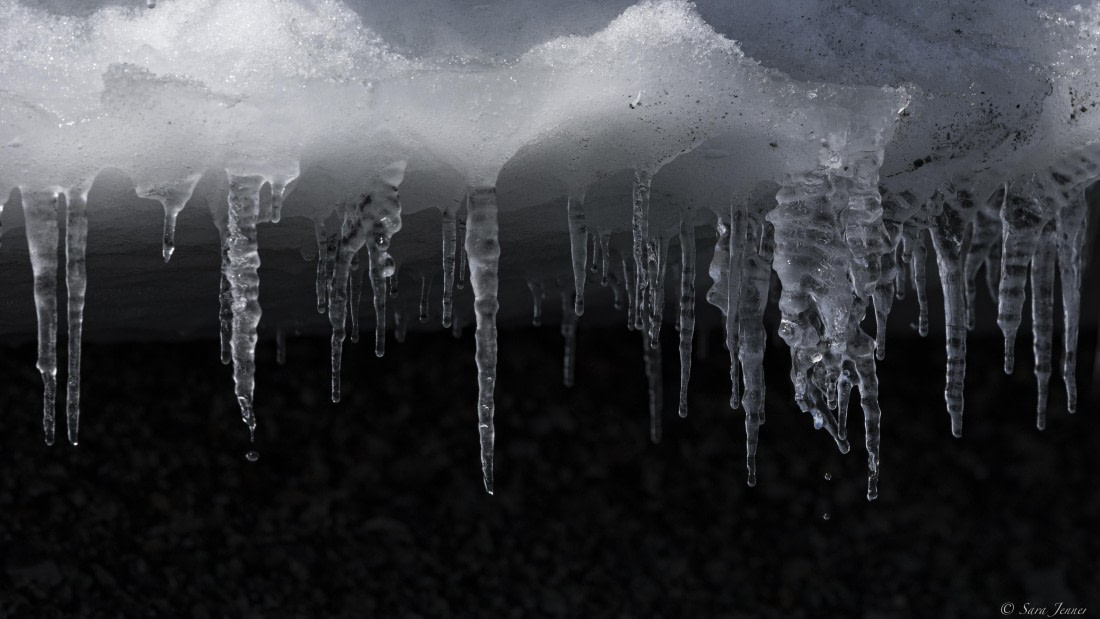 OTL24-24, Day 5, Ice © Sara Jenner - Oceanwide Expeditions.jpg