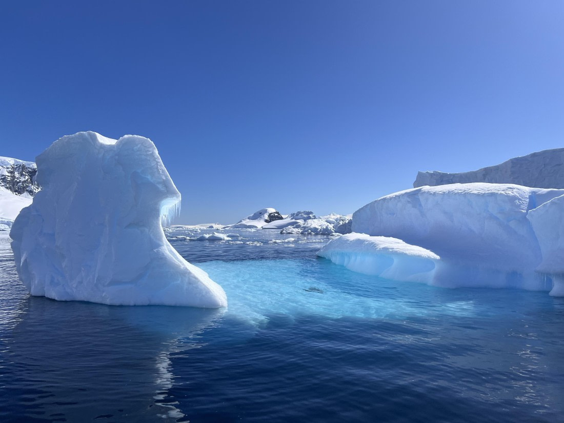 OTL24-24, Day 5, IMG_3855 ©  Unknown photographer - Oceanwide Expeditions.jpg