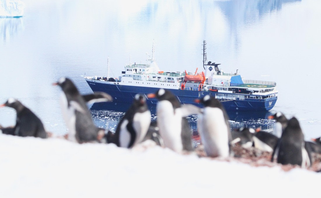 OTL24-24, Day 5, IMG_9177 © Unknown photographer - Oceanwide Expeditions.JPG