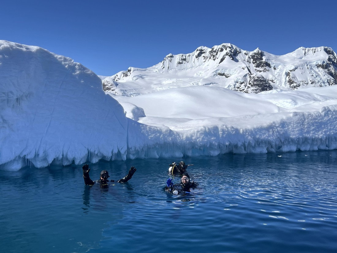 OTL24-24, Day 6, IMG_3919 ©  Unknown photographer - Oceanwide Expeditions.jpg