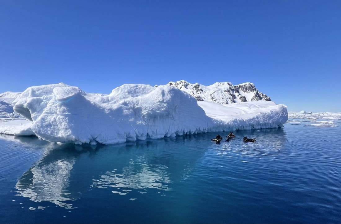 OTL24-24, Day 6, IMG_3922 ©  Unknown photographer - Oceanwide Expeditions.jpg