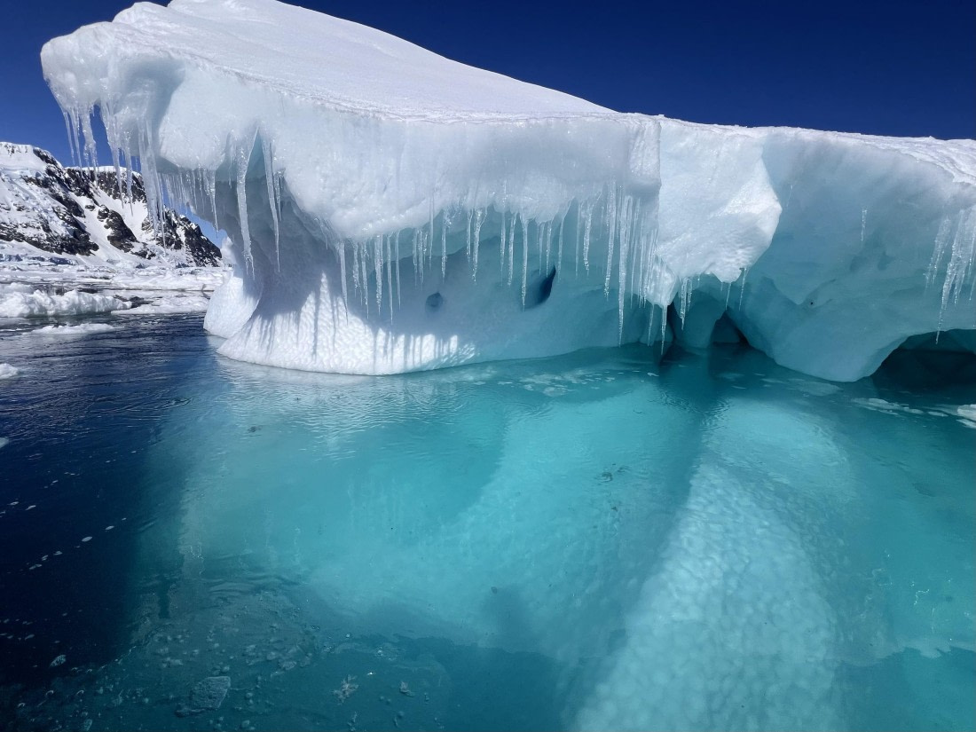 OTL24-24, Day 6, IMG_3930 ©  Unknown photographer - Oceanwide Expeditions.jpg