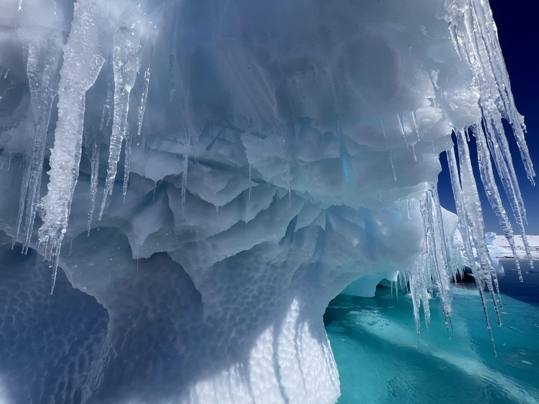 OTL24-24, Day 6, IMG_3933 ©  Unknown photographer - Oceanwide Expeditions.jpg