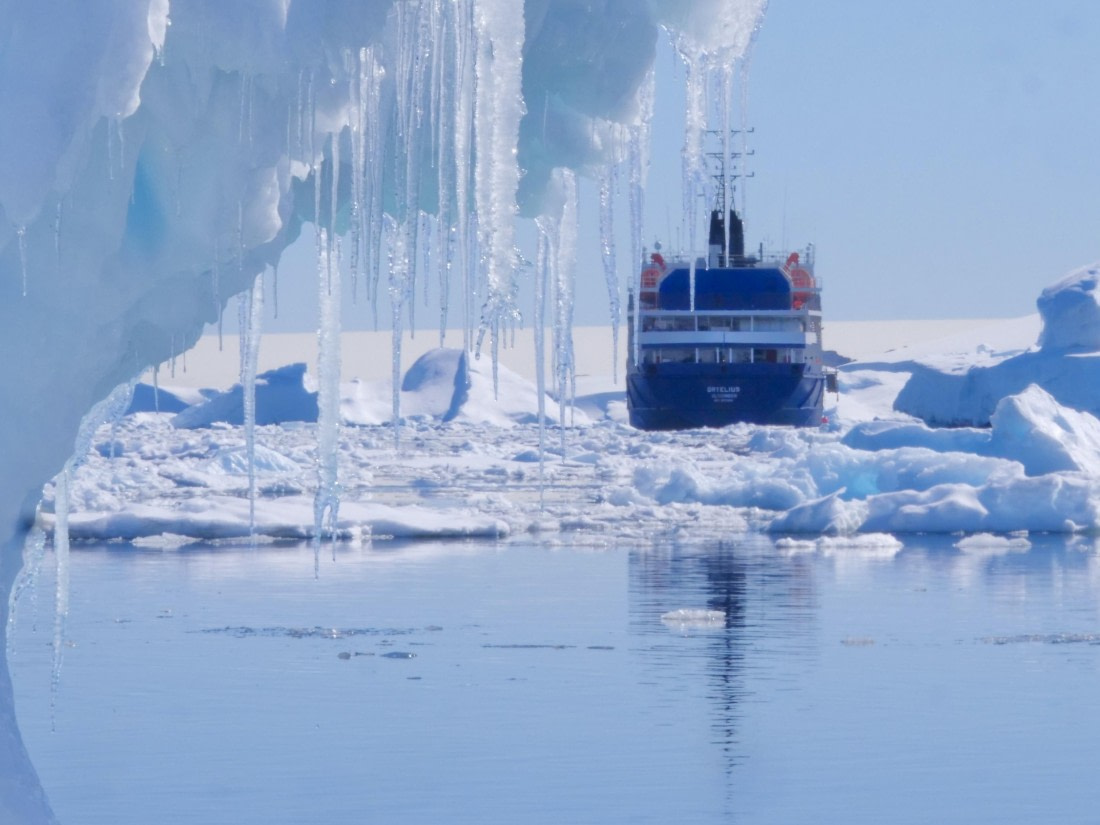 OTL24-24, Day 6, P1102798 © Unknown photographer - Oceanwide Expeditions.jpg
