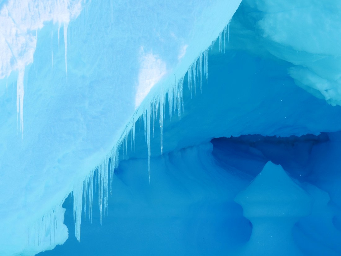 OTL24-24, Day 6, P1102907 © Unknown photographer - Oceanwide Expeditions.JPG