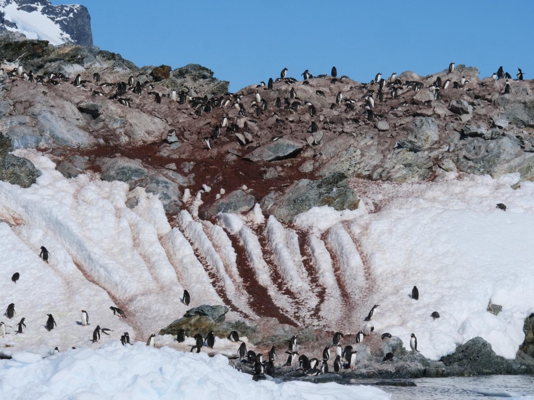 OTL24-24, Day 7, P1102976 © Tanja Bayer - Oceanwide Expeditions.JPG