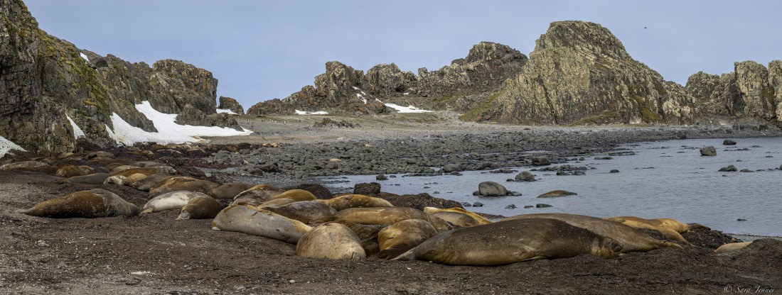 OTL24-24, Day 8, Elephant Point 4 ©  Sara Jenner  - Oceanwide Expeditions.jpg