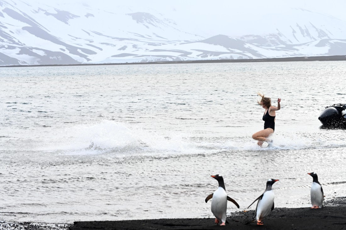 it's not cold at all