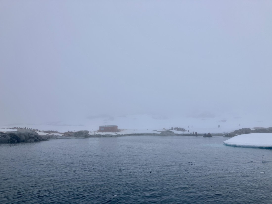 HDS24-24, Day 4, IMG_0060 © Unknown photographer - Oceanwide Expeditions.jpg