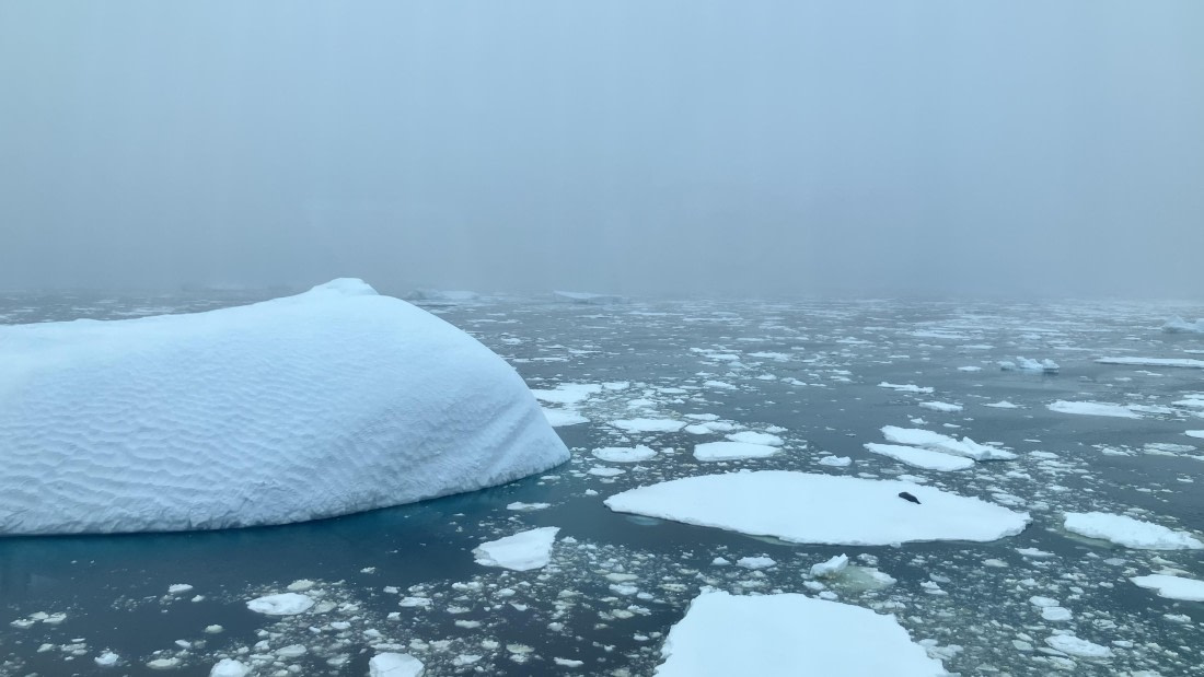 HDS24-24, Day 4, IMG_3123 © Unknown photographer - Oceanwide Expeditions.jpeg