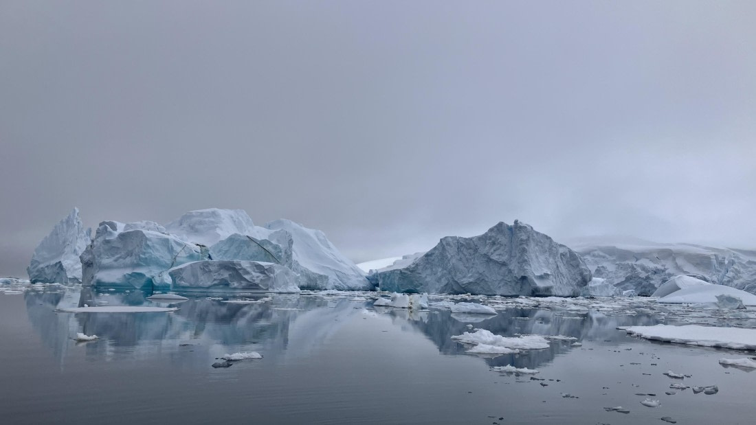 HDS24-24, Day 4, IMG_3145 © Unknown photographer - Oceanwide Expeditions.jpeg