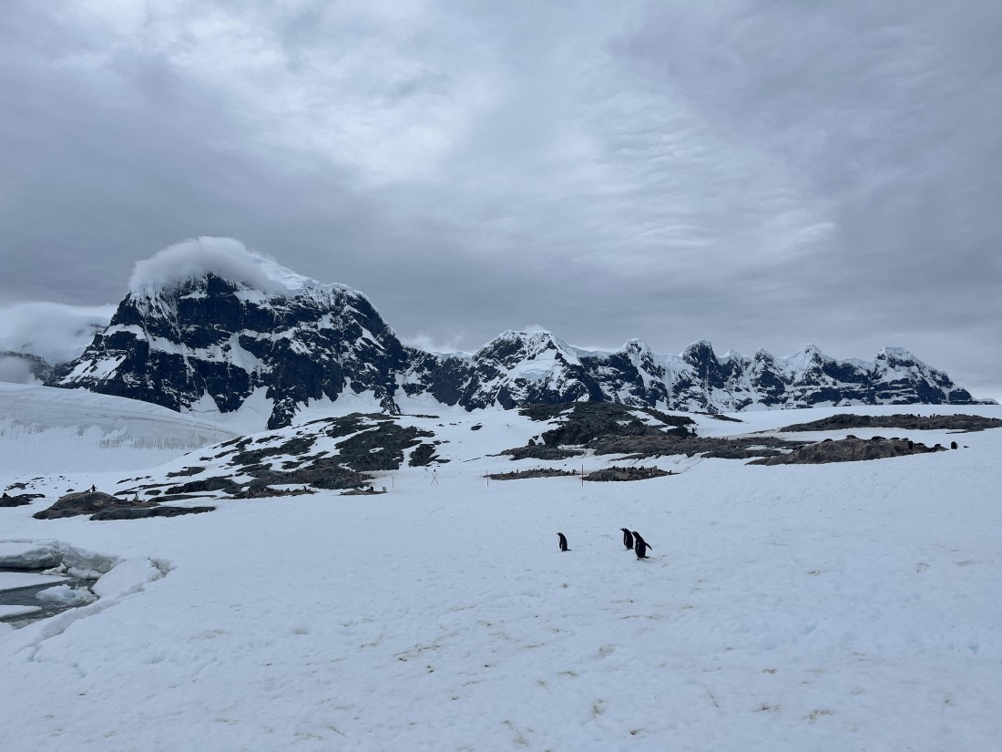 HDS24-24, Day 5, IMG_8060 © Unknown photographer - Oceanwide Expeditions.JPG