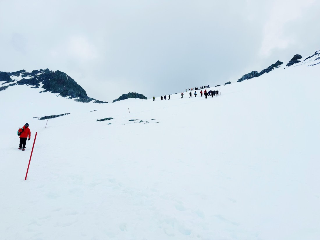 HDS24-24, Day 7, IMG_6379 © Unknown photographer - Oceanwide Expeditions.jpg