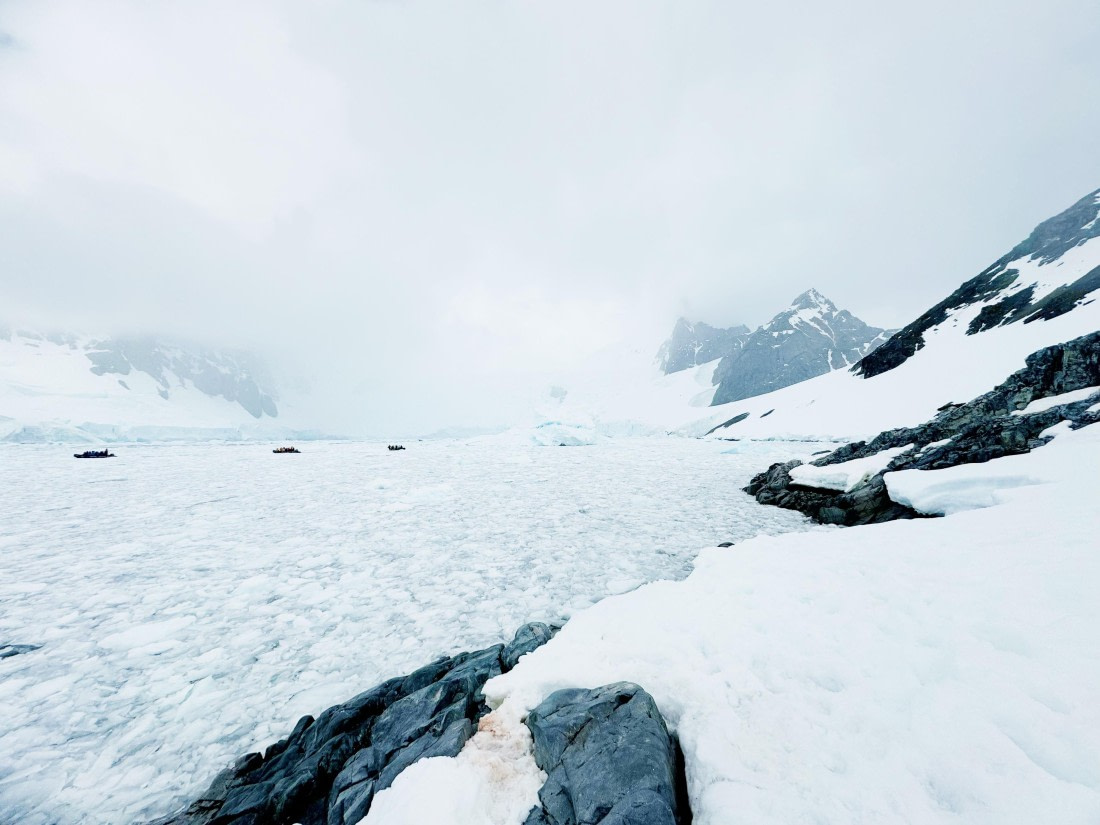 HDS24-24, Day 7, IMG_6380 © Unknown photographer - Oceanwide Expeditions.jpg