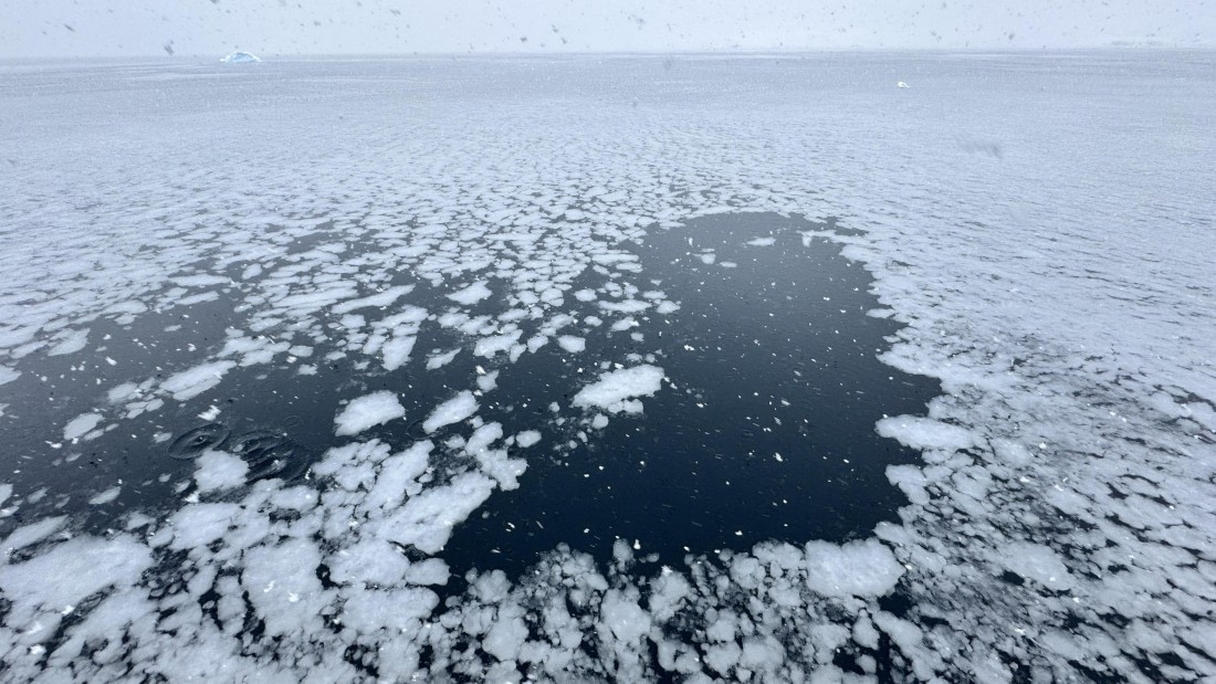 HDS24-24, Day 8, formingpancakeice-meike © Meike Sjoer - Oceanwide Expeditions.jpg