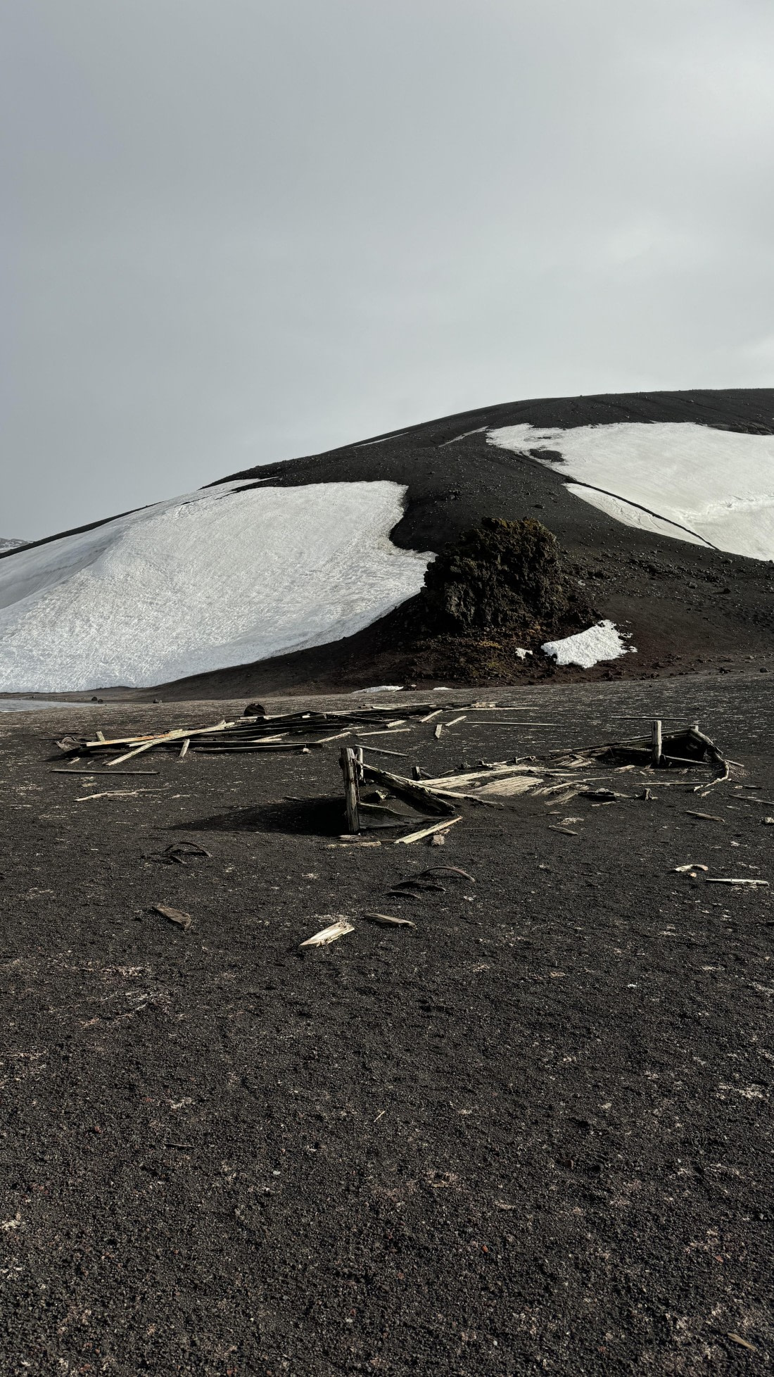 HDS24-24, Day 10, IMG_4136 ©Unknown photographer - Oceanwide Expeditions.jpg