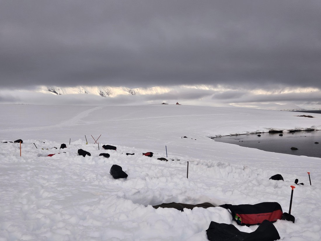 HDS24-24, Day 4, 20241209_003116 © Unknown photographer - Oceanwide Expeditions.jpg