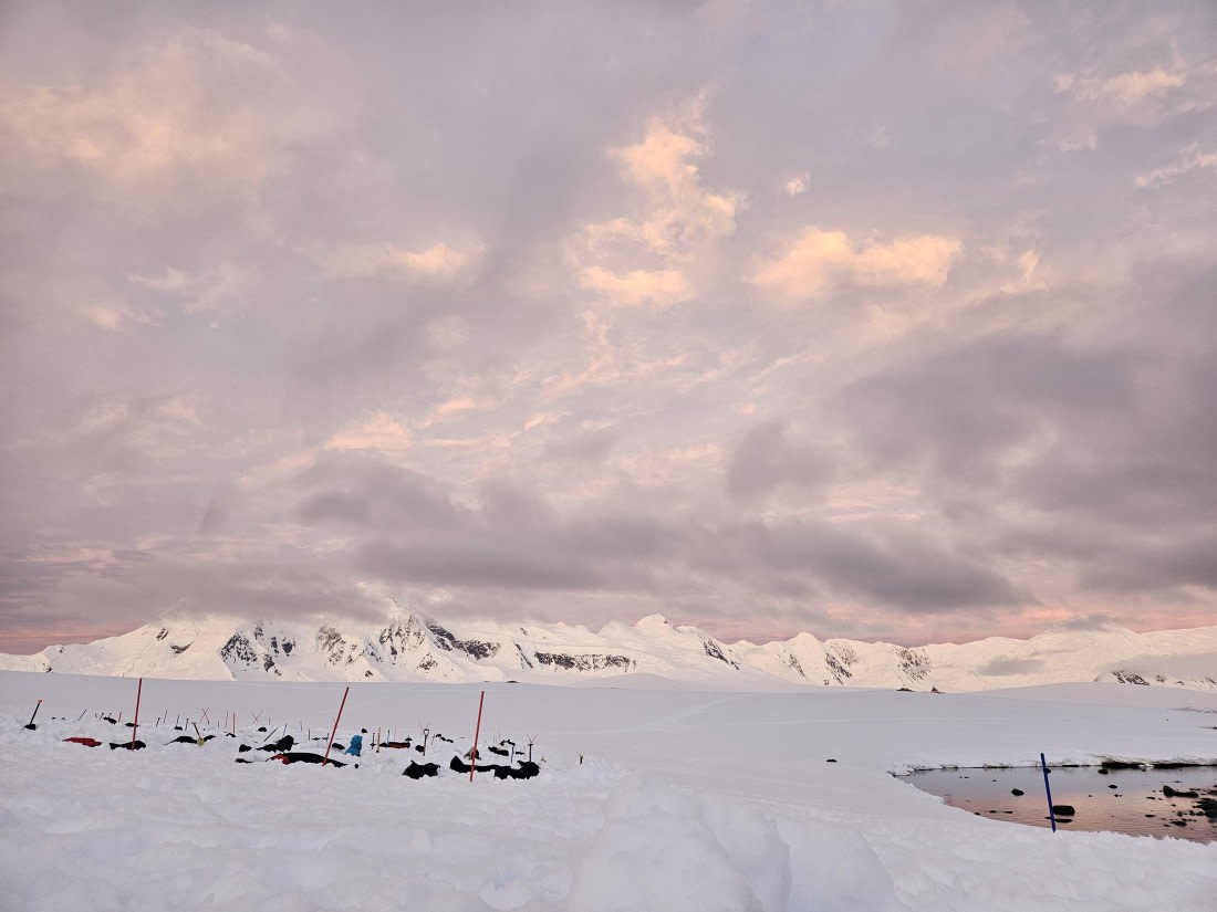 HDS24-24, Day 4, 20241209_022825 © Unknown photographer - Oceanwide Expeditions.jpg