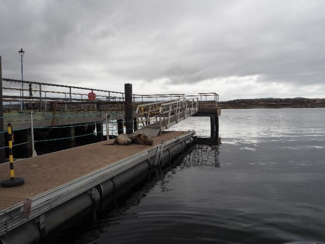 PLA24-24, Day 4, Jetty © Unknown photographer - Oceanwide Expeditions.jpg