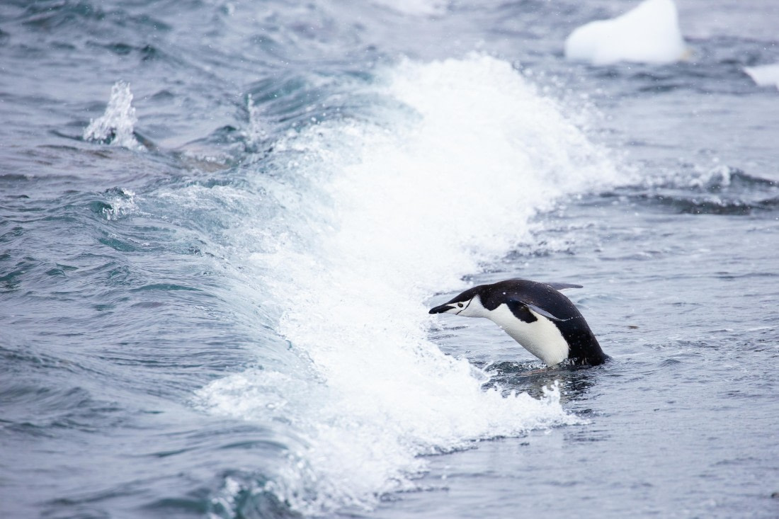 Is the water still cold?