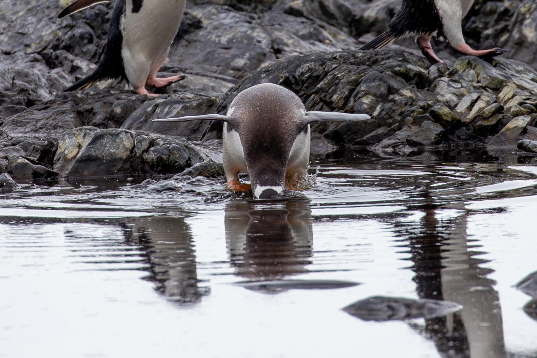 And what is underwater?