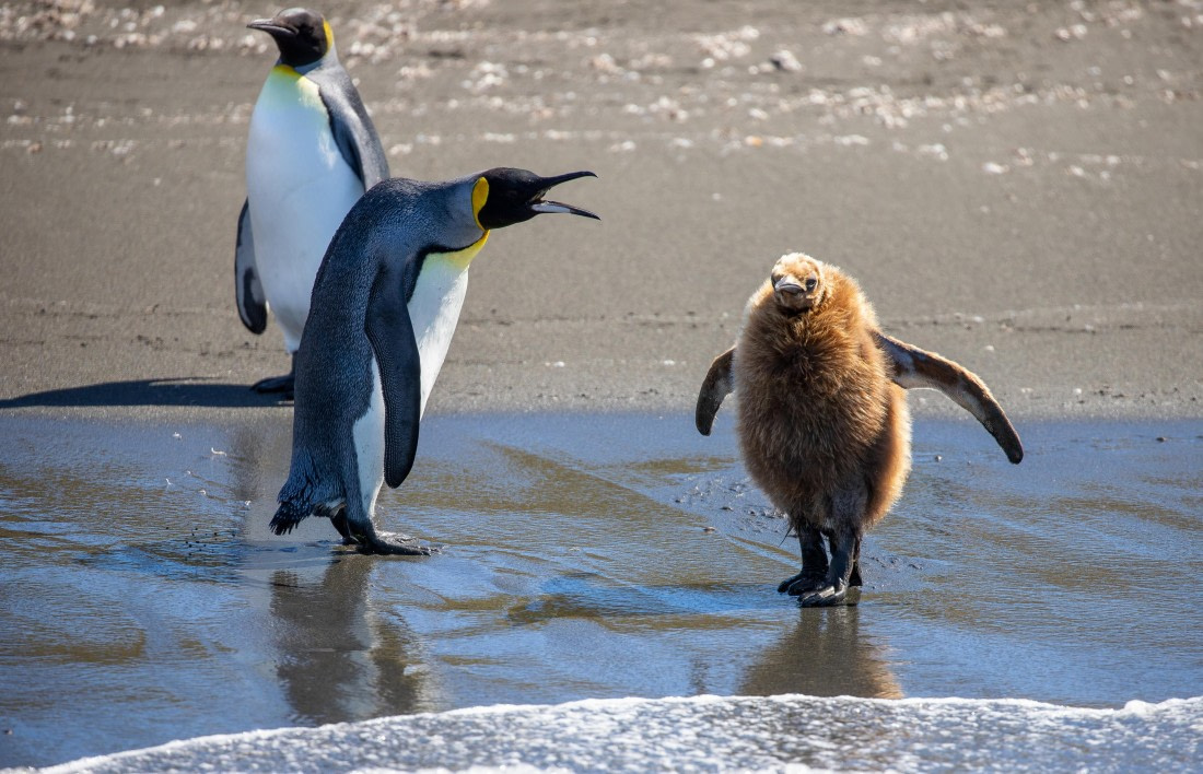 And one more time: do NOT go into the water!