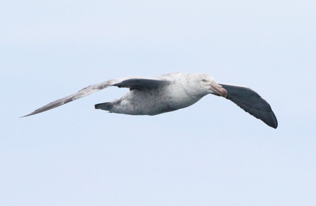 OTL25-25, Day 2, IMG_0859 © Unknown photographer - Oceanwide Expeditions.JPG