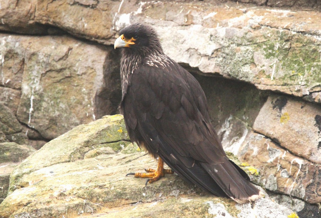 OTL25-25, Day 3, IMG_1632 © Unknown photographer - Oceanwide Expeditions.JPG