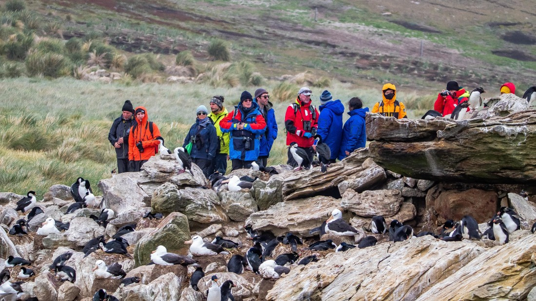 OTL25-25, Day 3, IMG_3471 © Unknown photographer - Oceanwide Expeditions.jpg