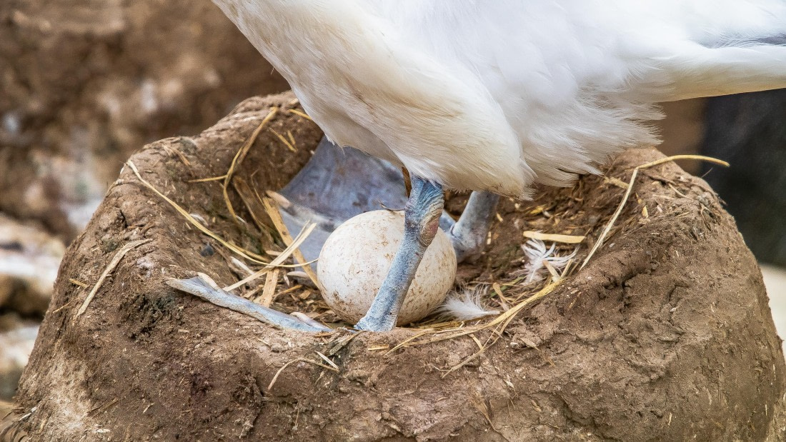 OTL25-25, Day 3, IMG_3520 © Unknown photographer - Oceanwide Expeditions.jpg