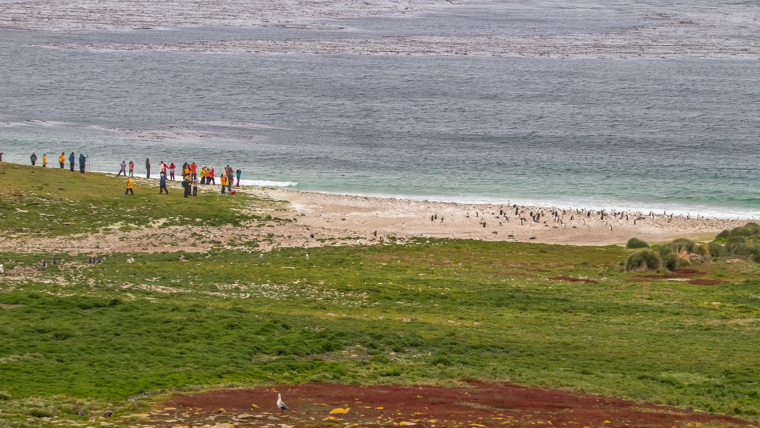 OTL25-25, Day 3, IMG_3813 © Unknown photographer - Oceanwide Expeditions.jpg