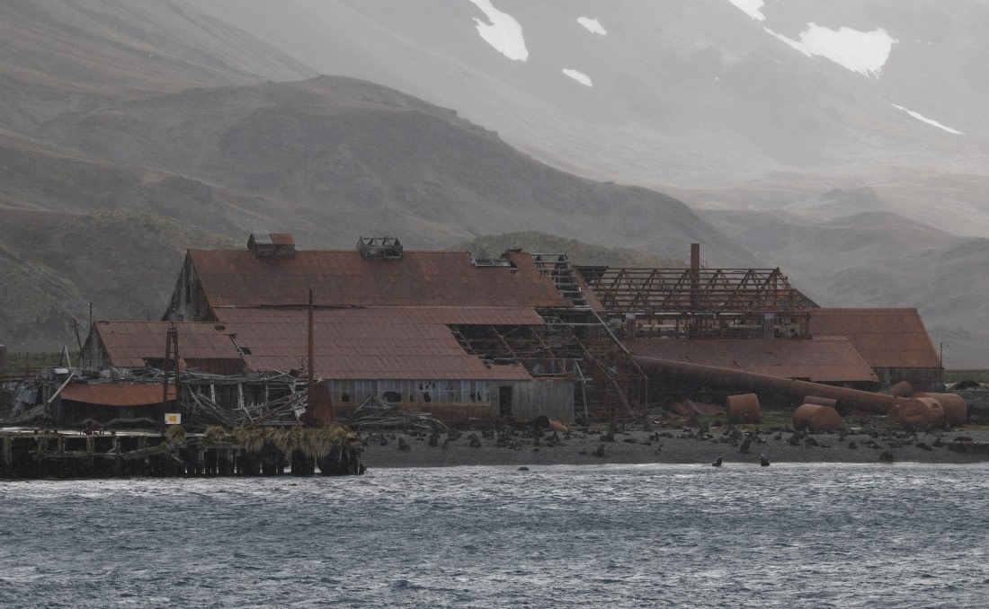 OTL25-25, Day 8, Stromness4 © Sara Jenner - Oceanwide Expeditions.JPG