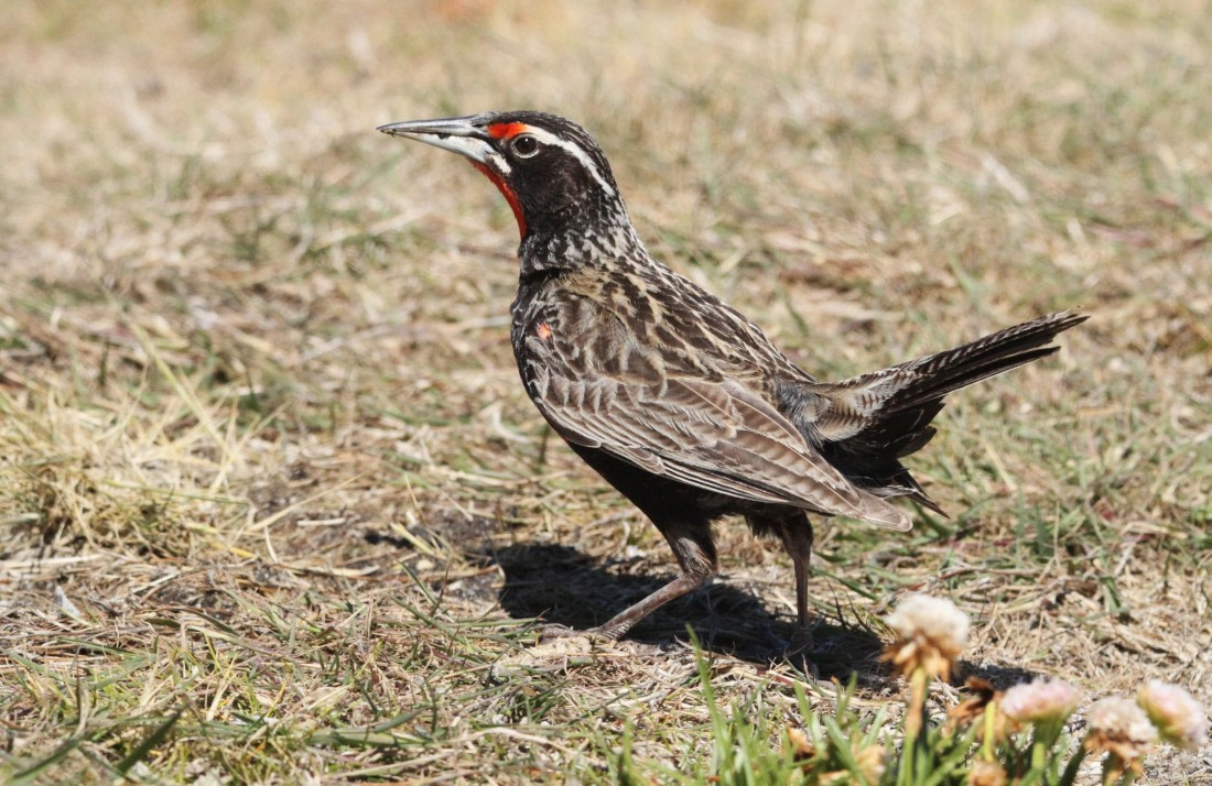OTL25-25, Day 4, IMG_1824 © Unknown photographer - Oceanwide Expeditions.JPG