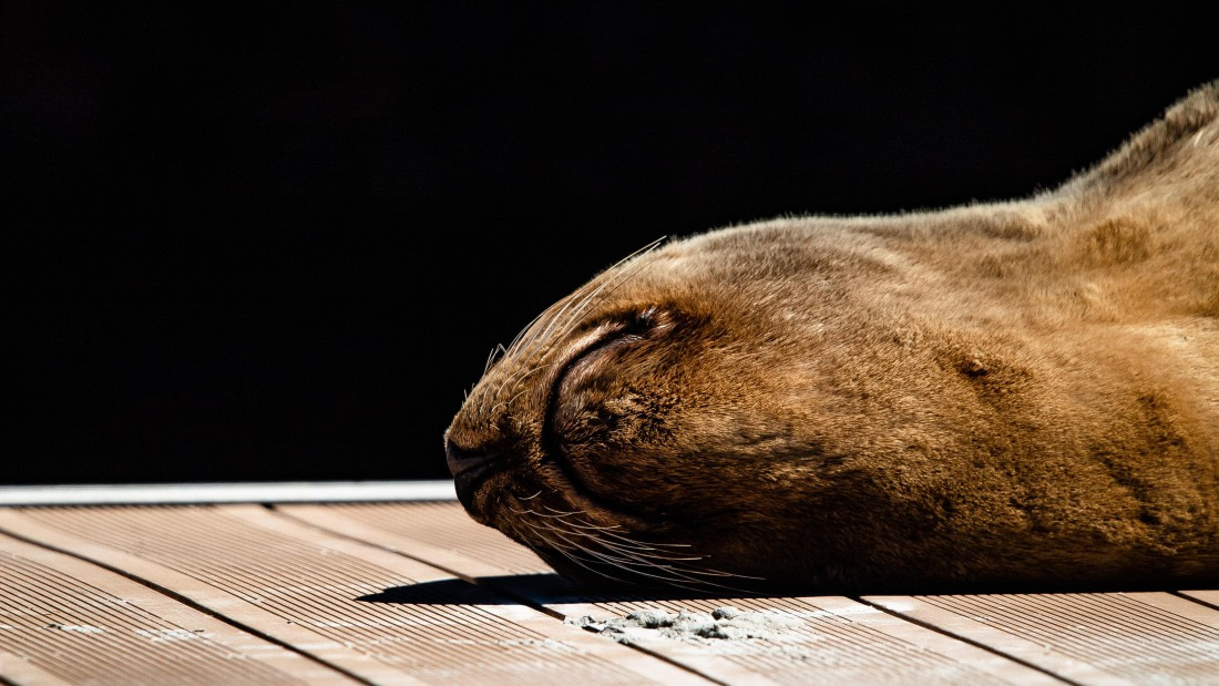 OTL25-25, Day 4, IMG_3837 © Unknown photographer - Oceanwide Expeditions.jpg